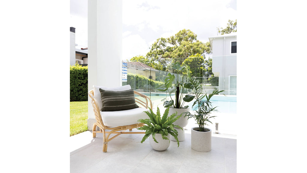 Transform Your Balcony with Plants into an Outdoor Oasis