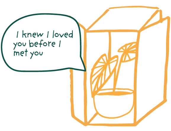 Story Image