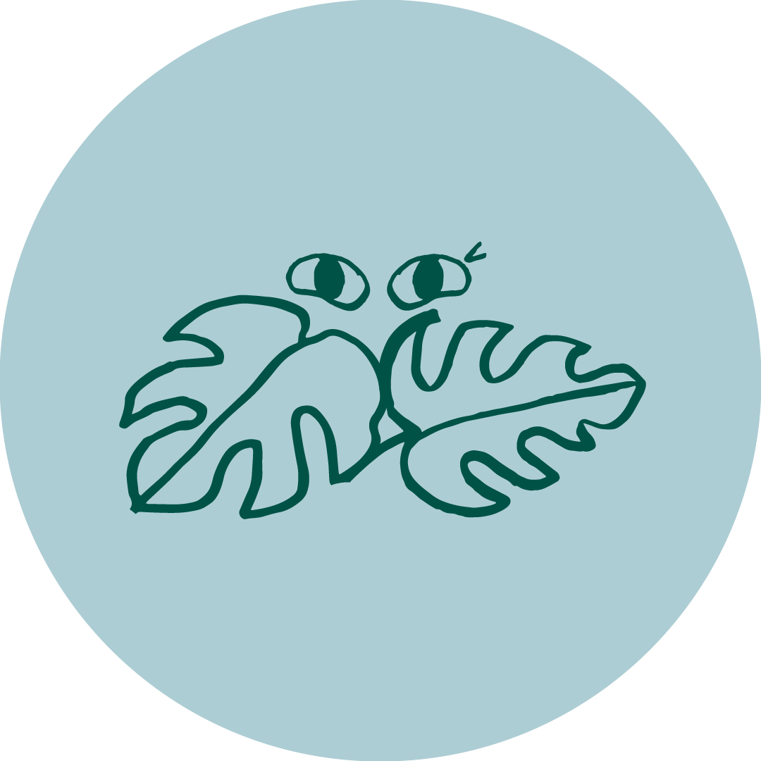 The Good Plant Co E-Gift Card