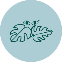 The Good Plant Co E-Gift Card