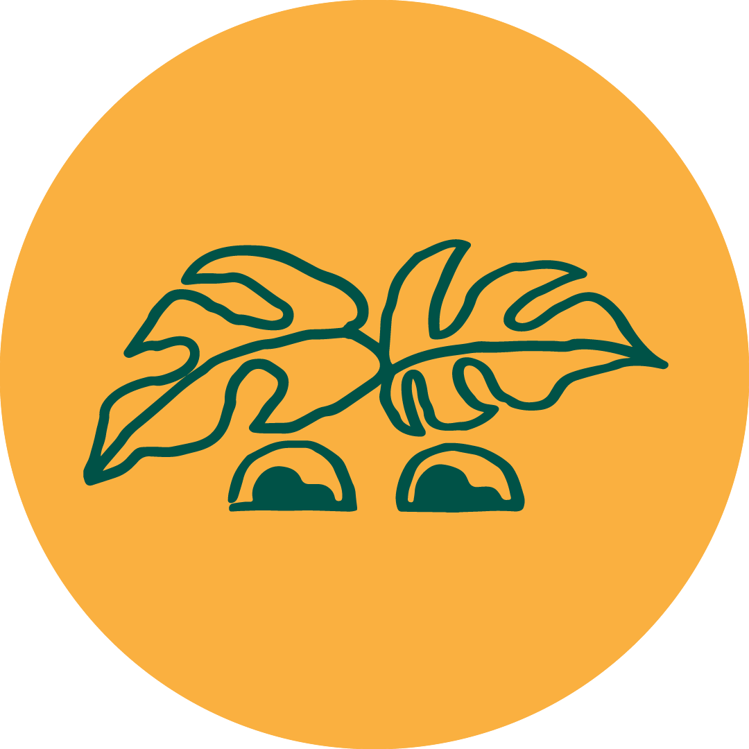 The Good Plant Co $100 E-Gift Card
