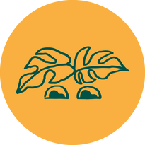 The Good Plant Co $100 E-Gift Card
