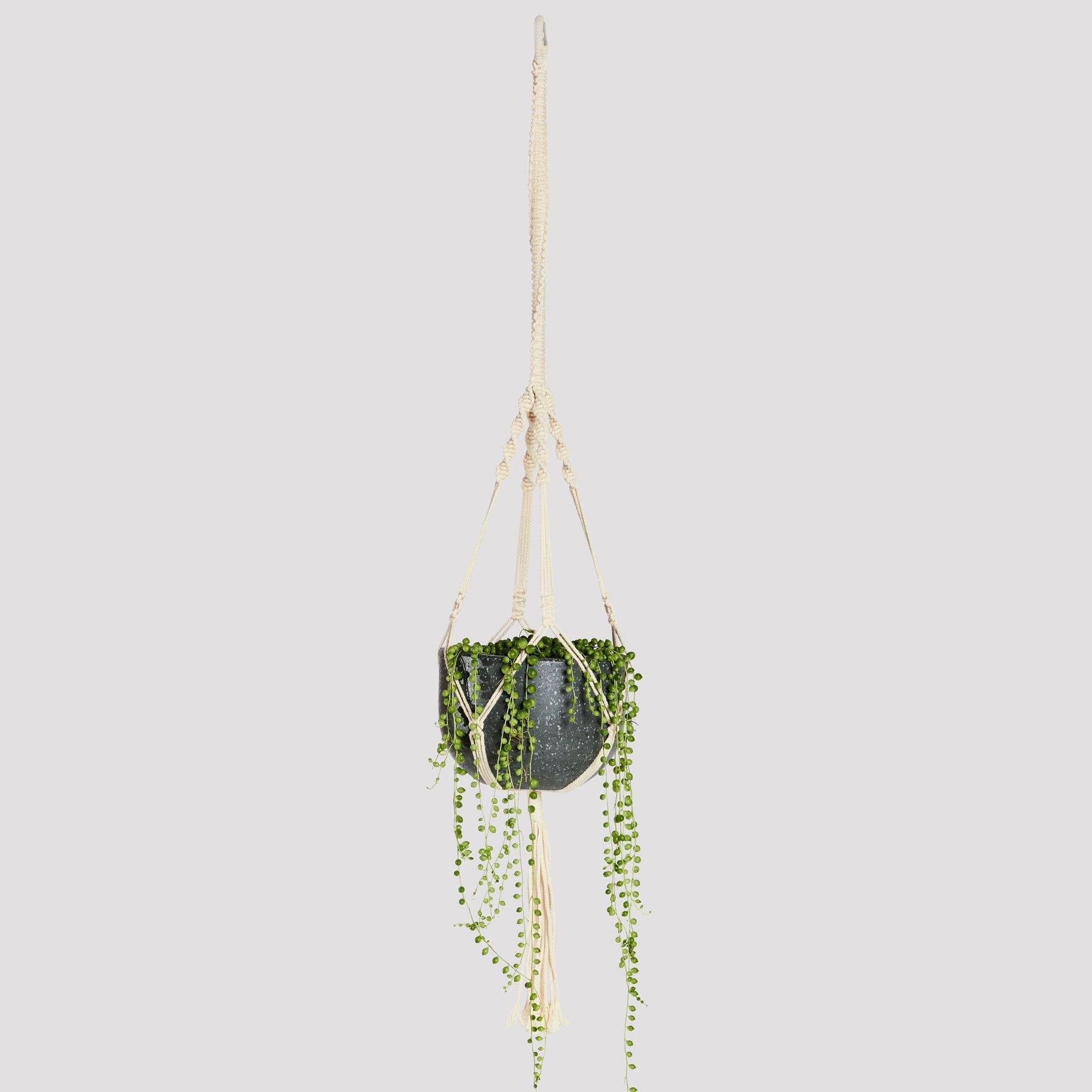 Arden Natural Rope Macrame Hanger with String of Pearls in Pierre Black Pot