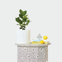 Morocco Table with Autograph Tree and accessories