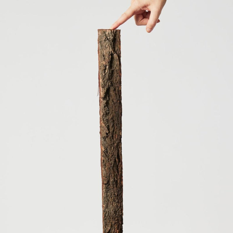 Ironbark Totem