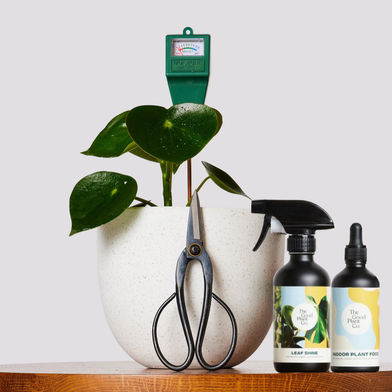 Large Grow Kit