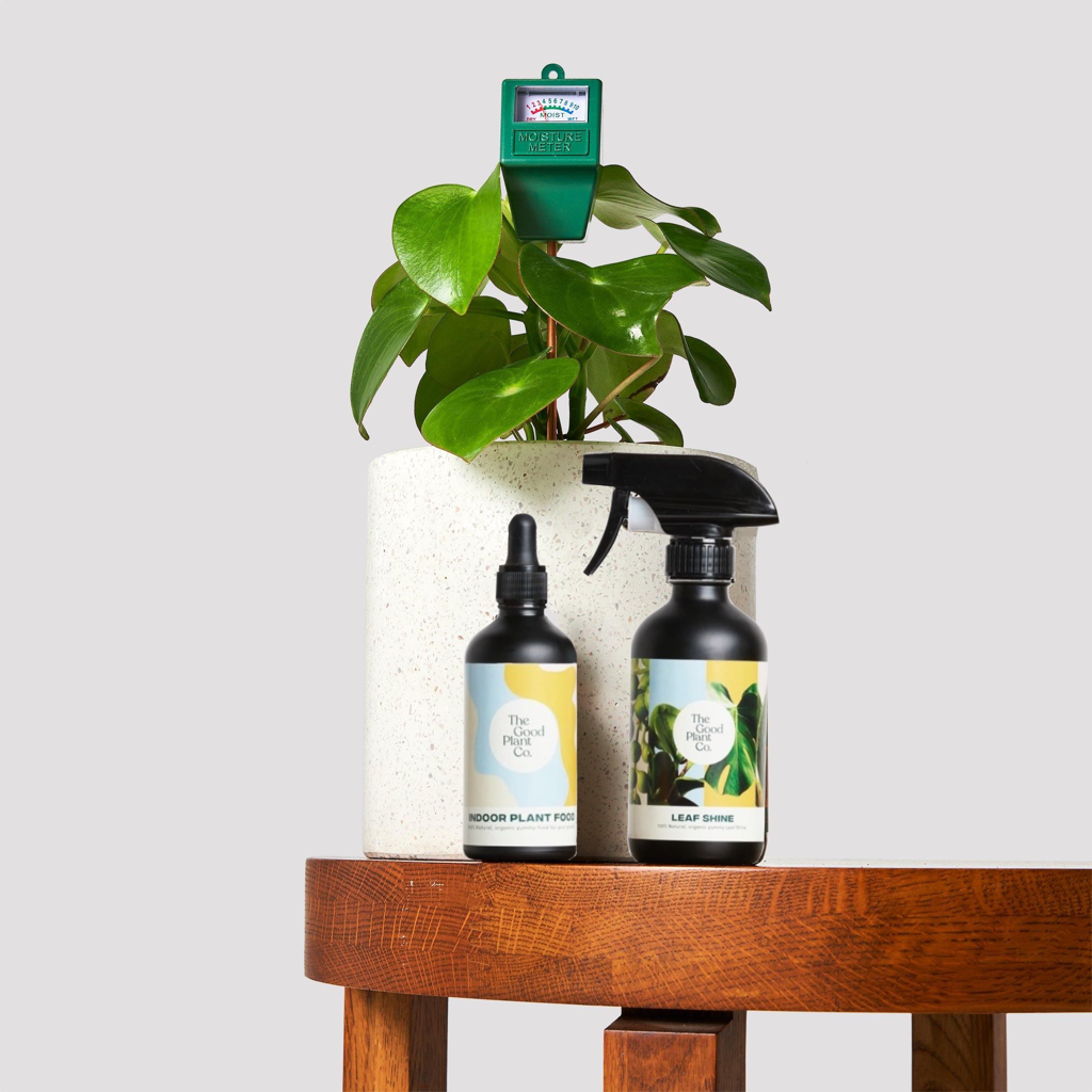 Medium Grow Kits including fertiliser leaf shine and moisture meter for indoor plants