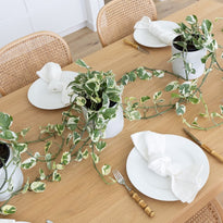 Pothos Snow Queen indoor plant in jardin white pot