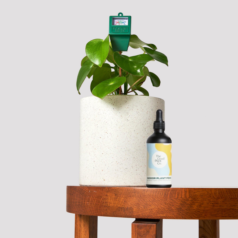 Small Grow Kit