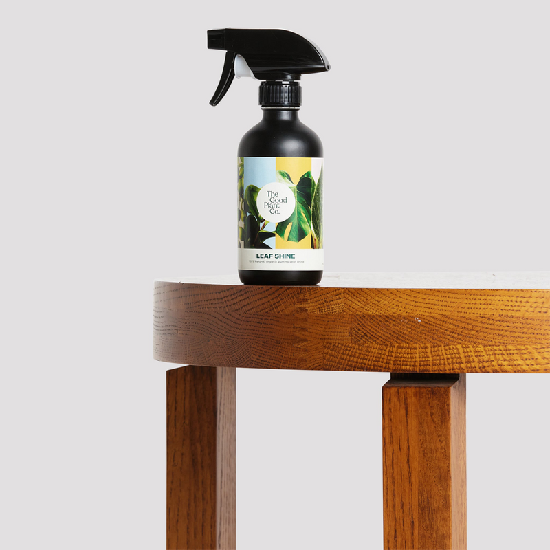The Good Plant Co Leaf Shine Neem Oil for Plants