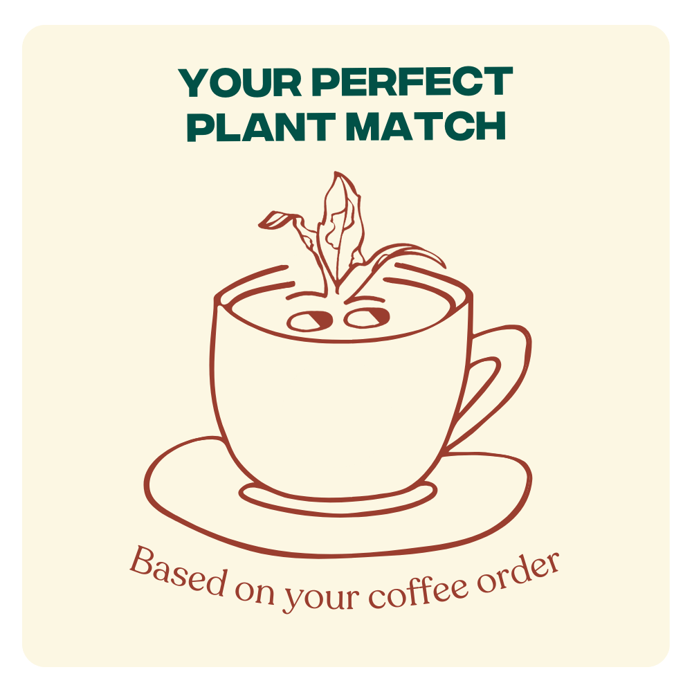 What Your Coffee Order Says About You | The Good Plant Co