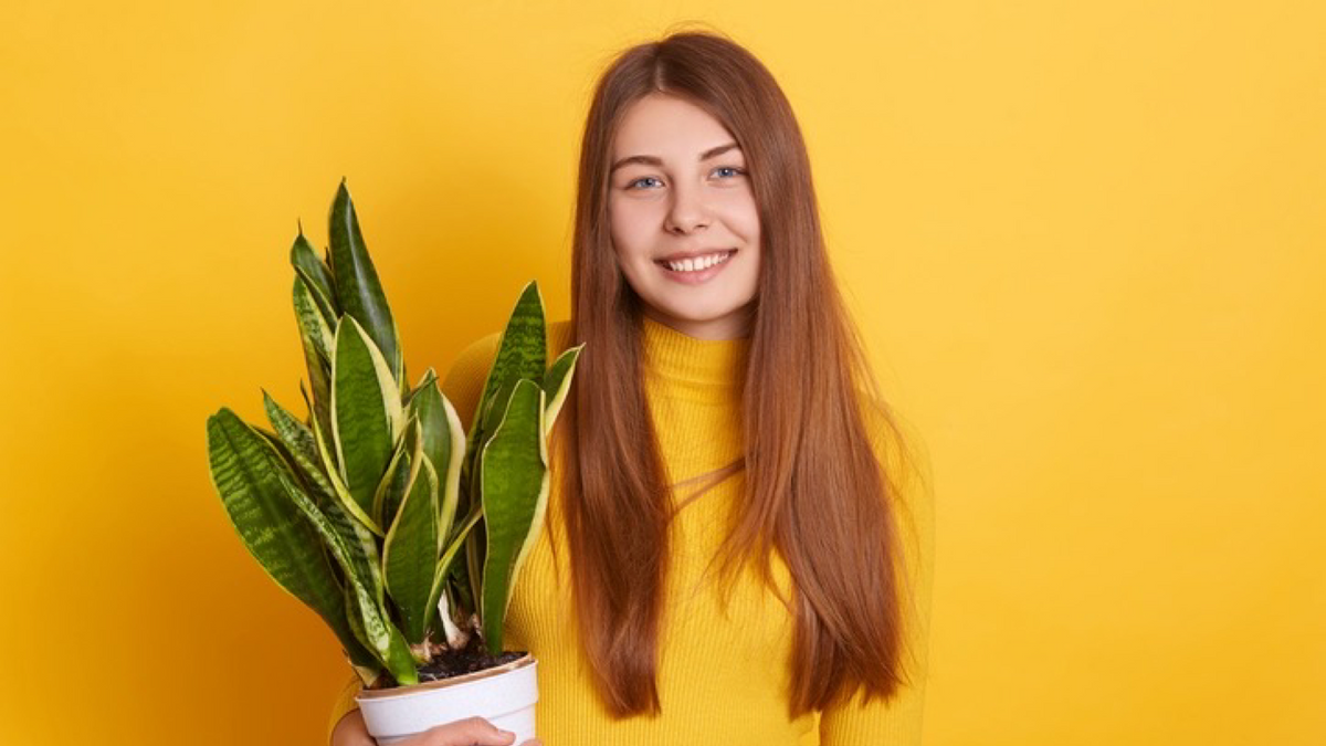International Day of Happiness | The Good Plant Co