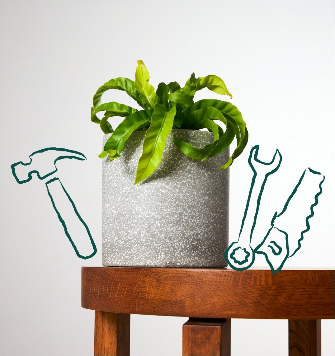 As Seen on The Block 2020 | The Good Plant Co