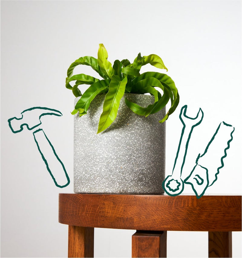 As Seen on The Block 2020 | The Good Plant Co