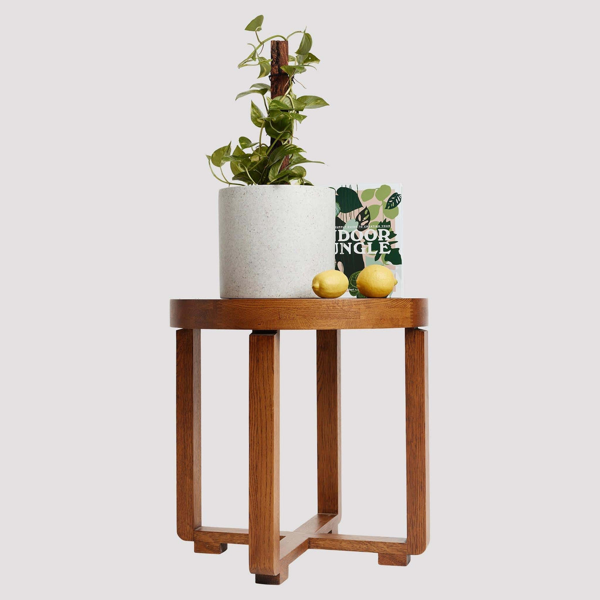 Devil’s Ivy in a white pot on a wooden stand with books and lemons