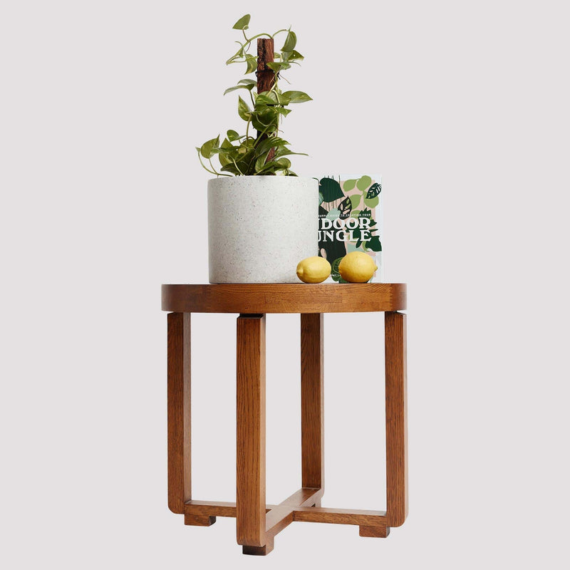 Devil’s Ivy in a white pot on a wooden stand with books and lemons