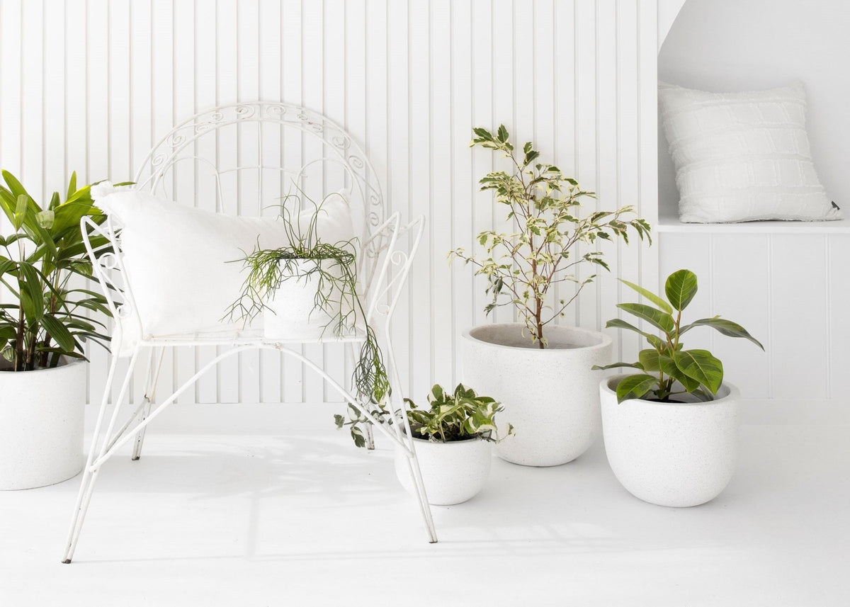 Happiness* Gifted - Corporate Gifting Guide | The Good Plant Co