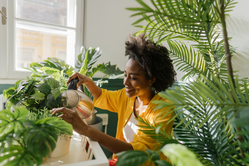 A Beginners Guide to Indoor Plant Parenthood!