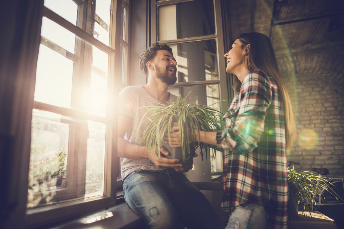 The only gift guide you'll need this Valentine's Day! | The Good Plant Co