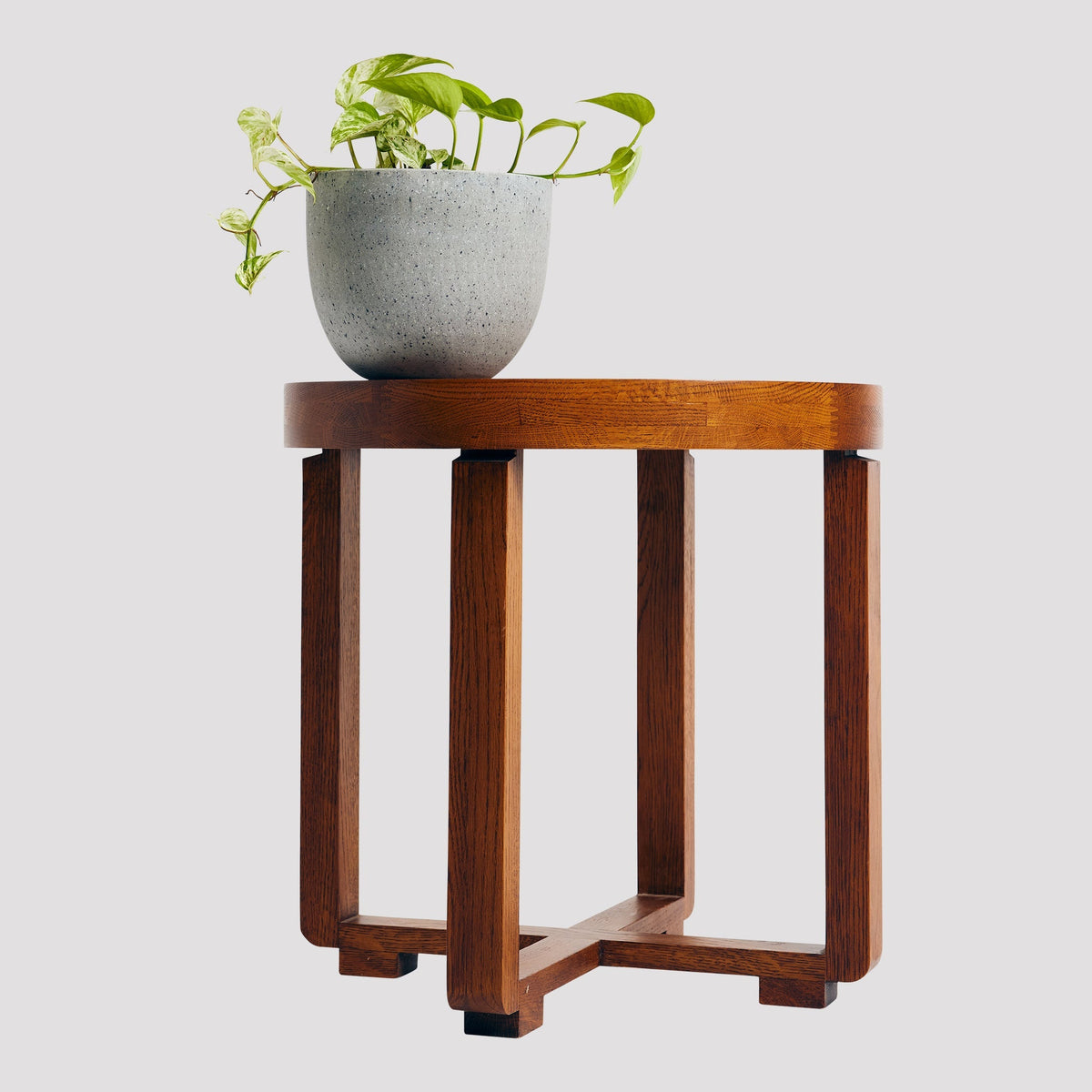 Marble Queen Pothos with cream and green leaves in a grey pot