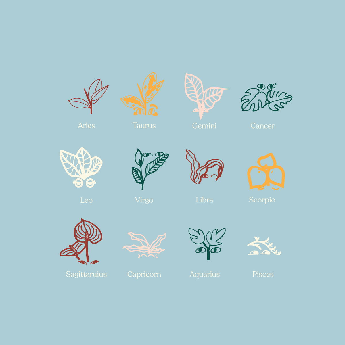 The Next Indoor Plant to Buy Based on your Star Sign