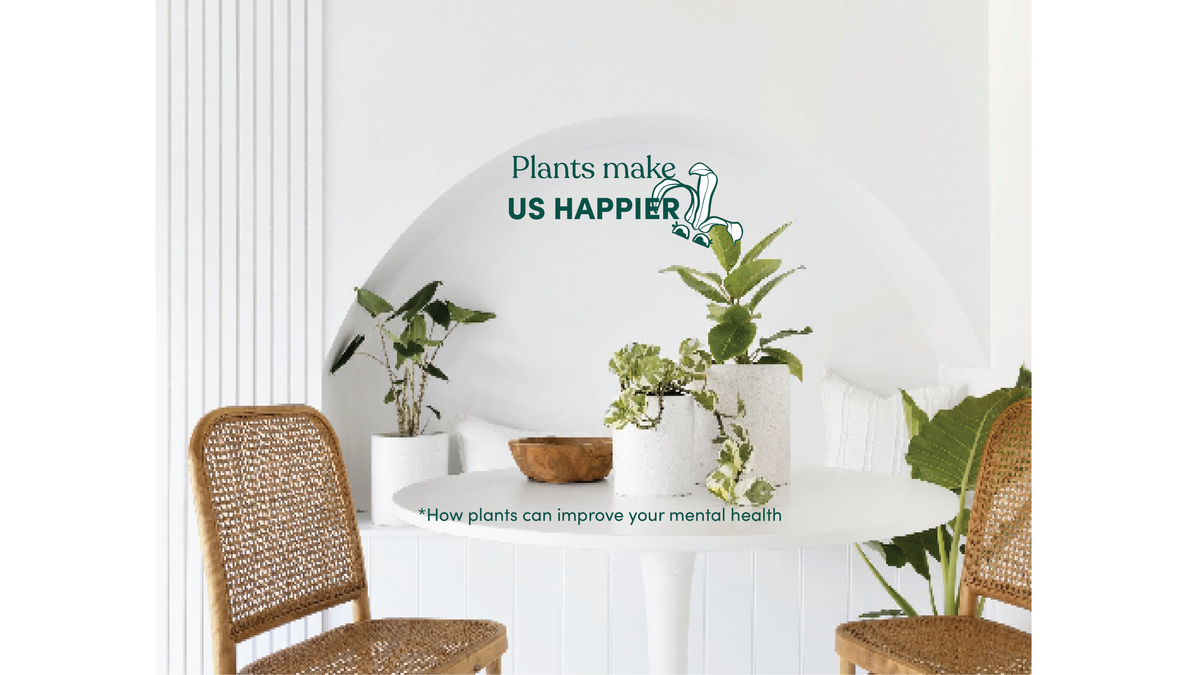 The benefits of indoor plants in your home blog with HotDoc