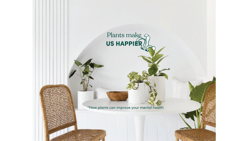 The benefits of indoor plants in your home blog with HotDoc