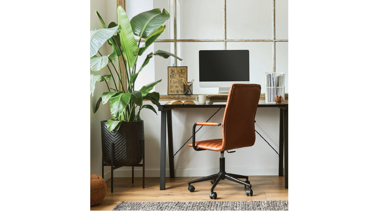 Mastering Lighting for Indoor Plants: A Guide to Nurturing Your Greenery