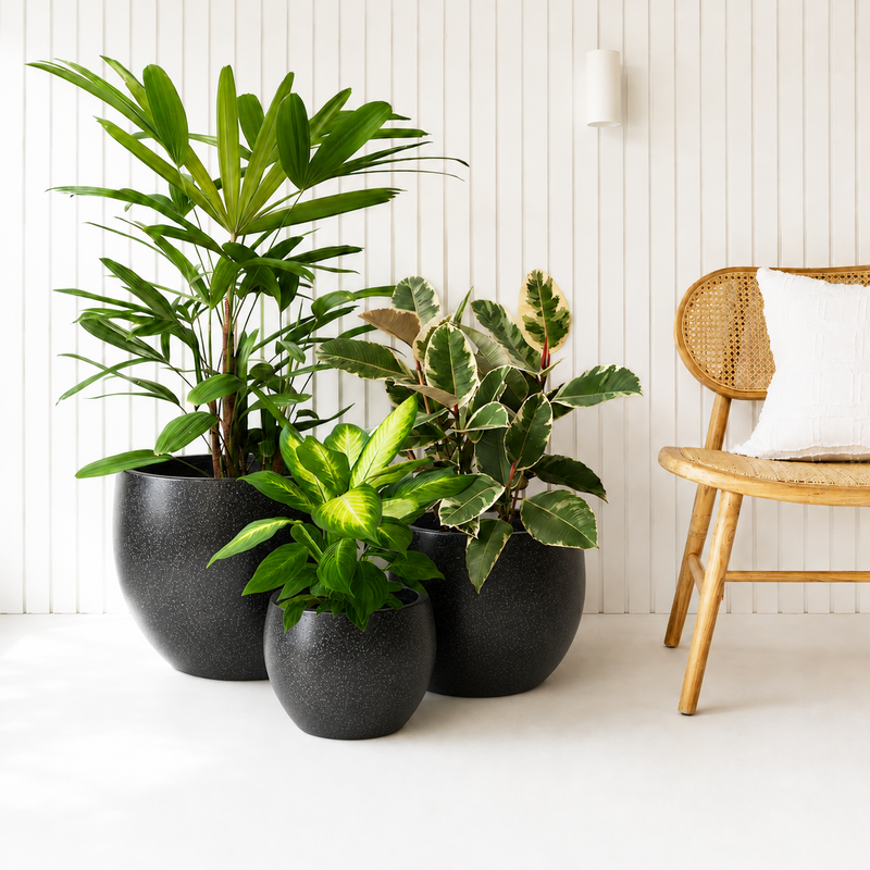 Galet Pot Set - Black Terrazzo