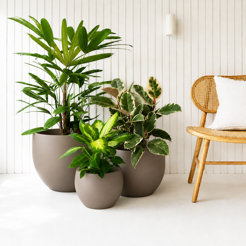 Galet Pot Set - Dune
