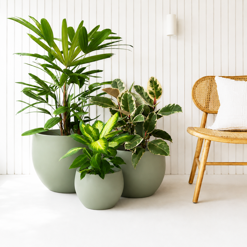 Galet Pot Set - Eucalypt