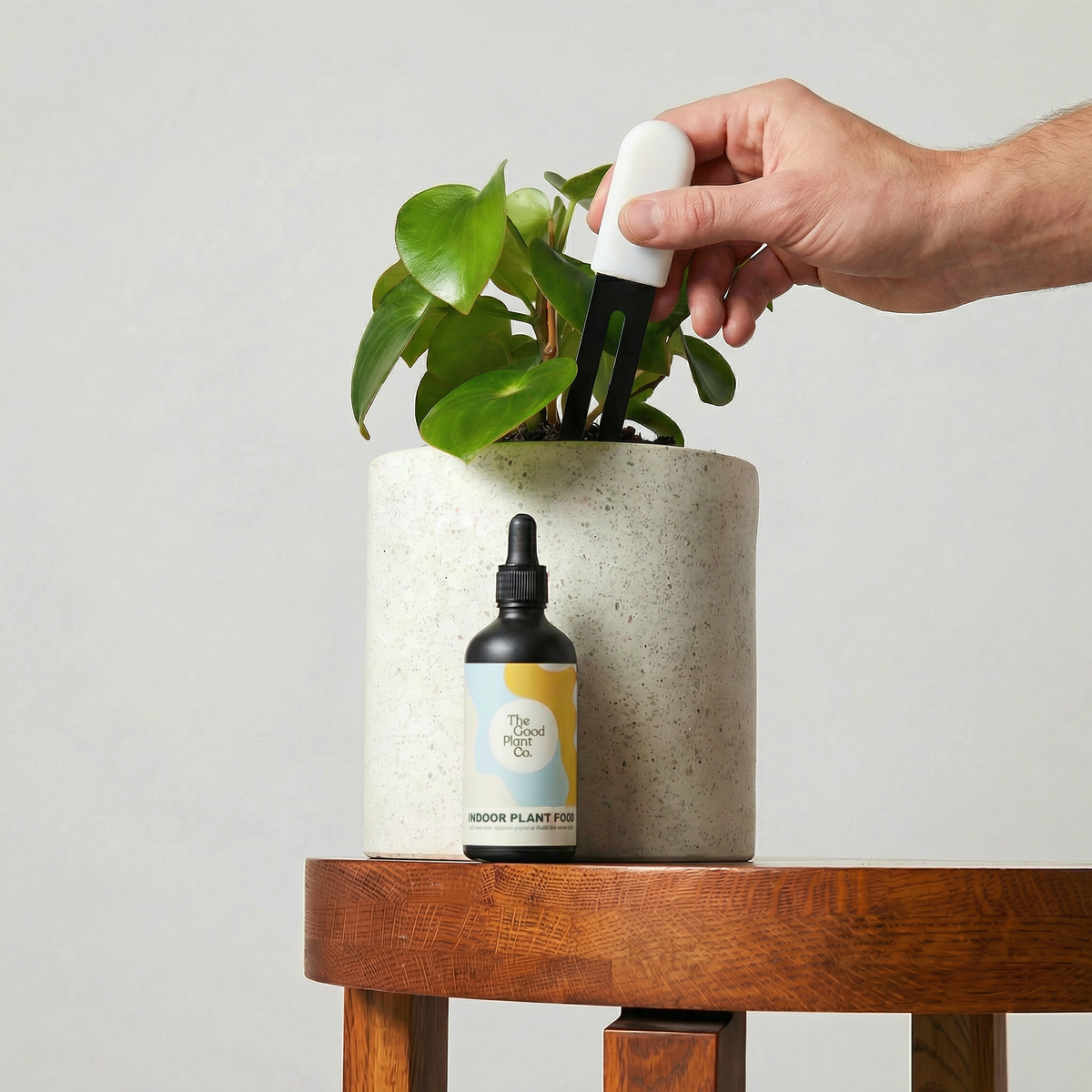 Small Grow Kit