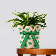 Bird’s Nest Fern and pot gift wrapped in peach leaf-pattern tissue with a green printed ribbon on a wooden table