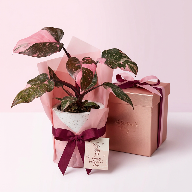 Marble Pink Princess and Pot Gift