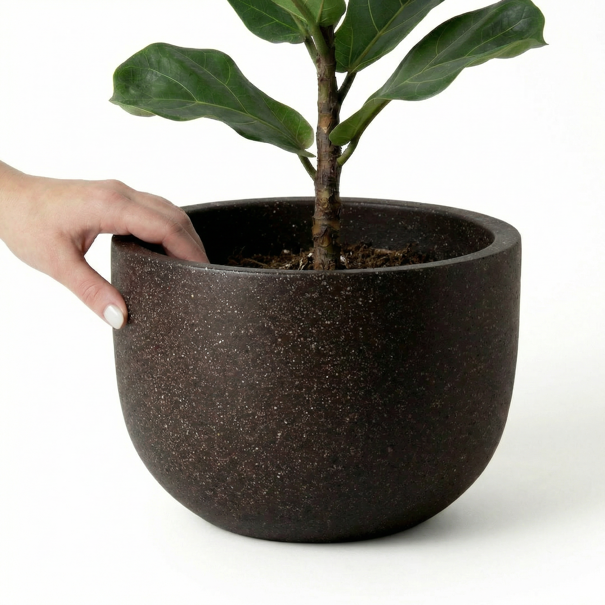Pierre Terrazzo Pot - Black