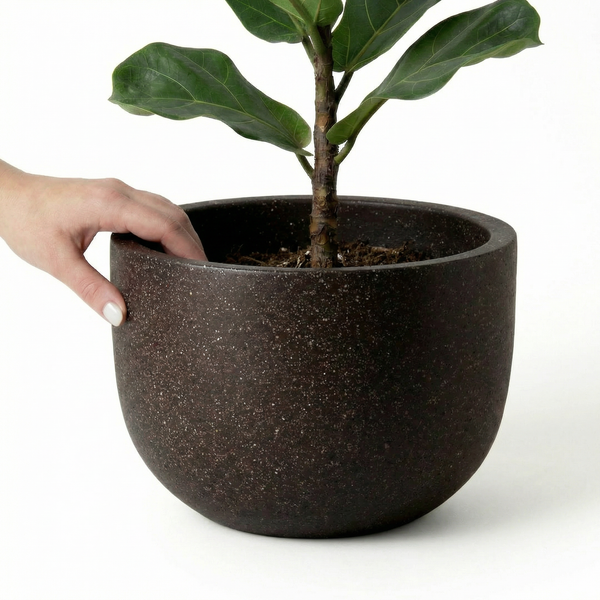 black pot and plant Indoor Black Plant Pots