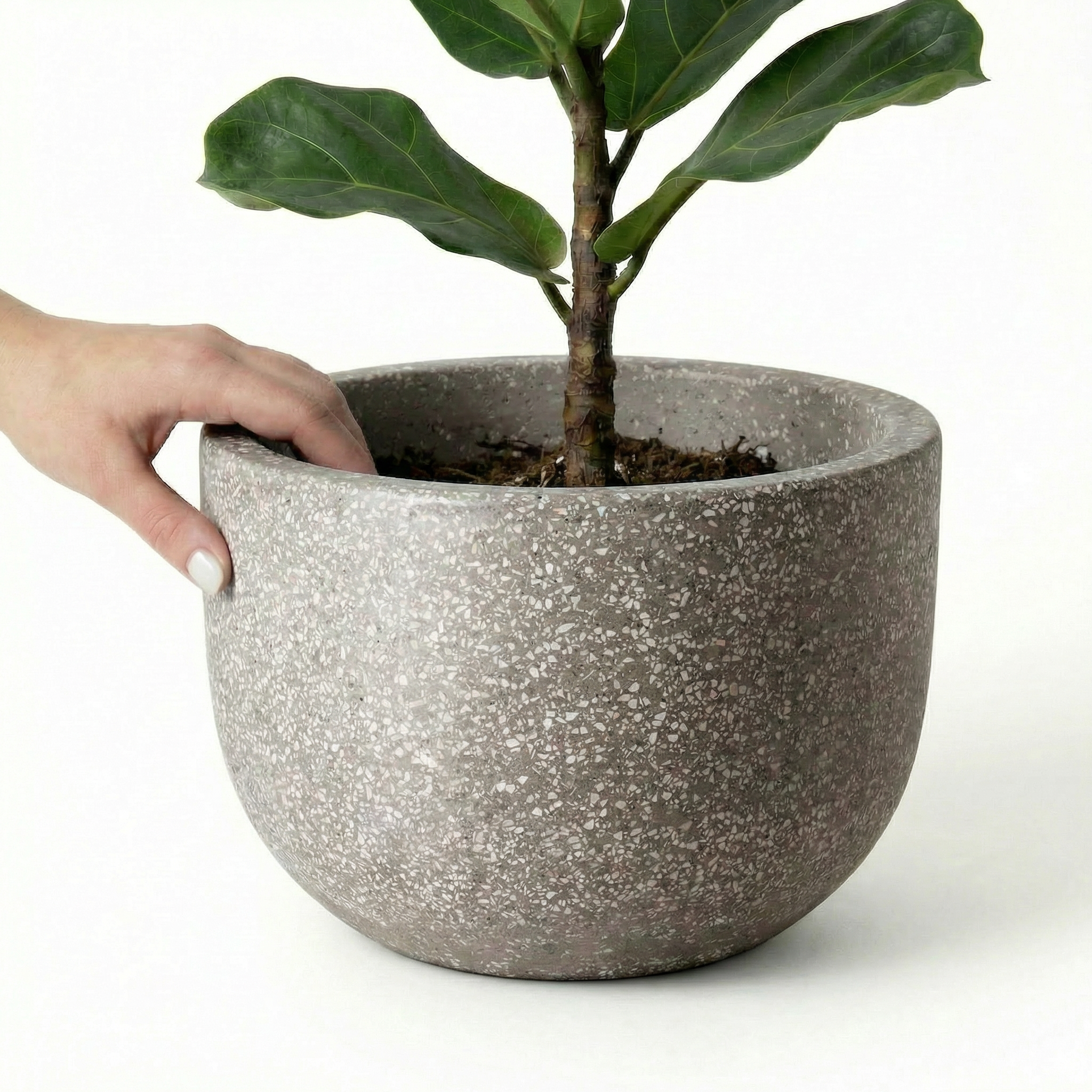 plant in grey pot Pierre Terrazzo Plant Pot Grey