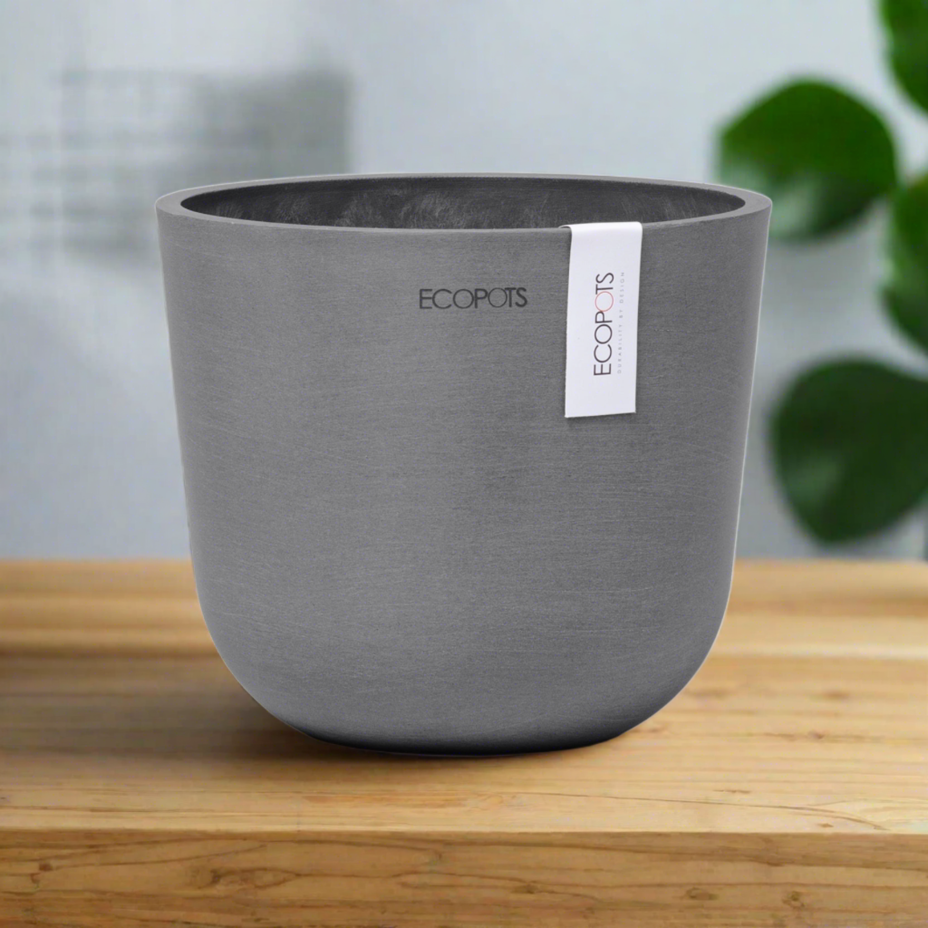 Grey indoor plant pot on a timber table