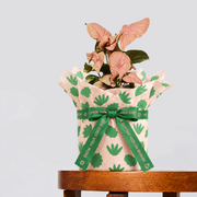 Syngonium Neon and pot gift in peach leaf-pattern wrapping with a printed green ribbon on a wooden table.