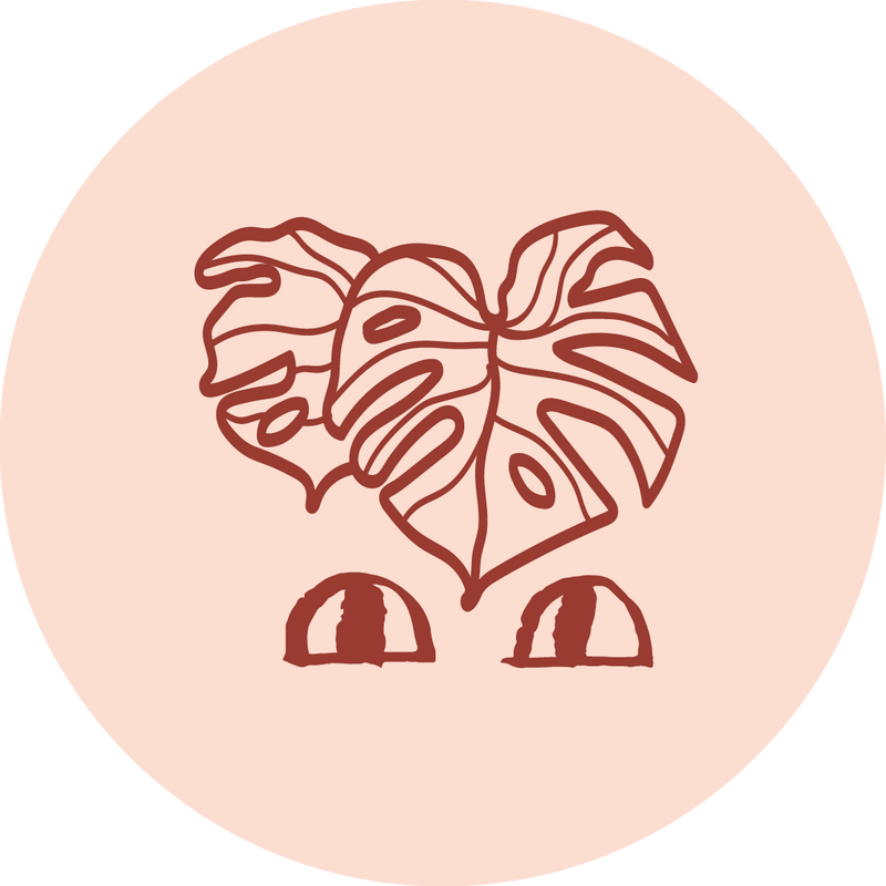 The Good Plant Co $50 E-Gift Card