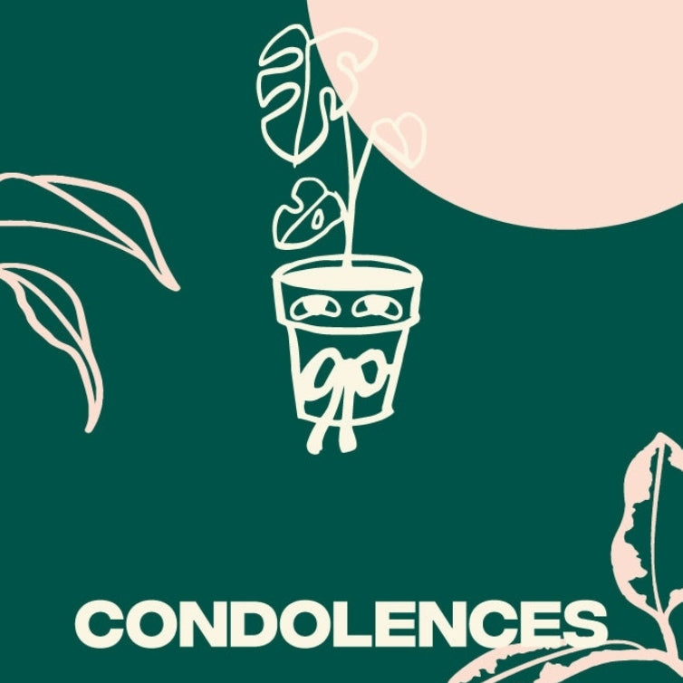 Condolences Gift Tag Indoor Plants at The Good Plant Co