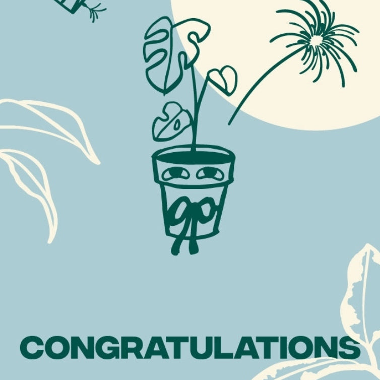 Congratulations Gift Tag Indoor Plant at The Good Plant Co