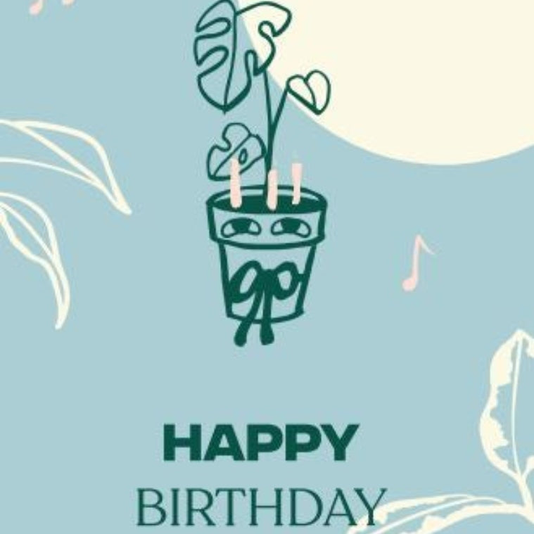 Happy Birthday Gift Tag Indoor Plant