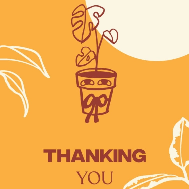 Thanking You Gift Tag Indoor Plant at The Good Plant Co