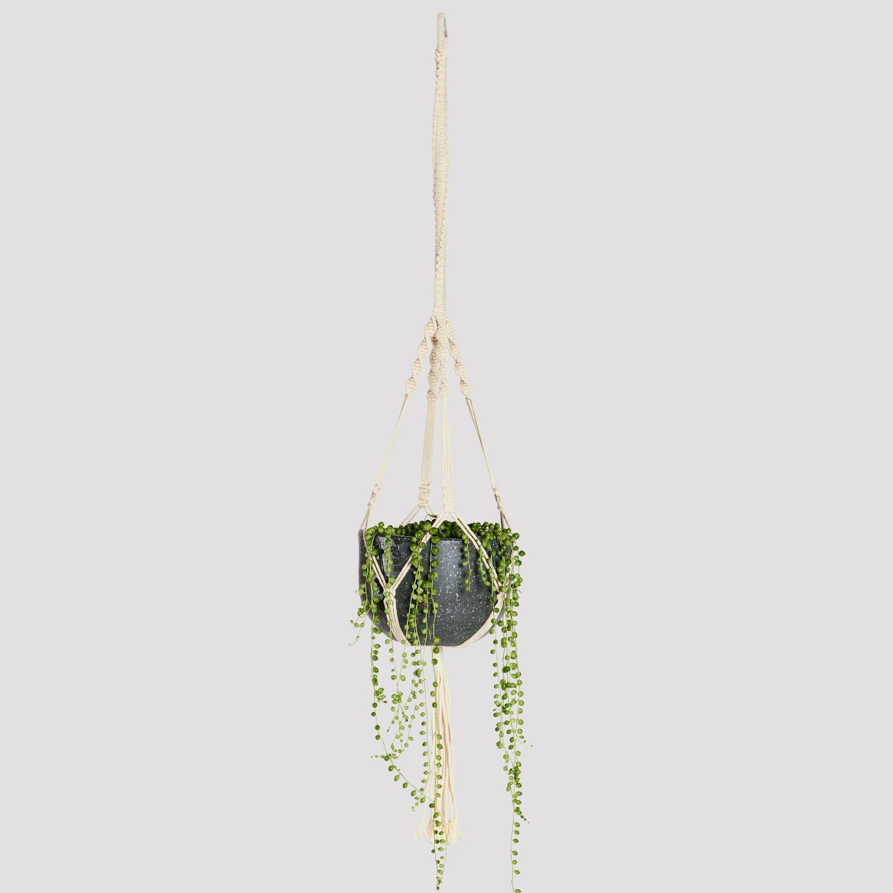 Arden Natural Rope Macrame Hanger with String of Pearls in Pierre Black Pot 