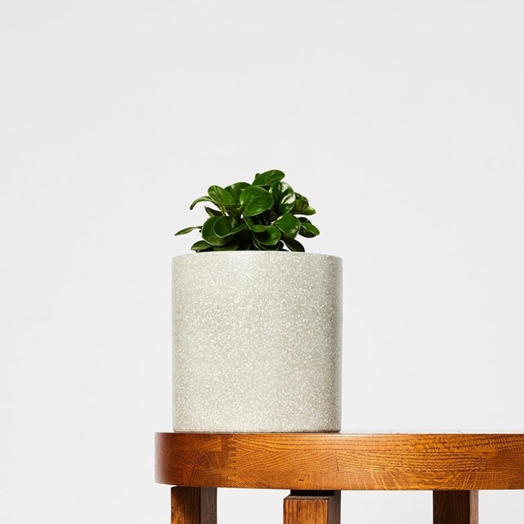 Jardin Indoor Grey Plant Pot