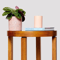 Calathea Jungle Rose Indoor Plant in Jardin Pink Pot on Table The Good Plant Co