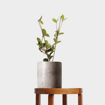 Hoya Plant in Jardin Terrazzo Pot Grey on Table at The Good Plant Co