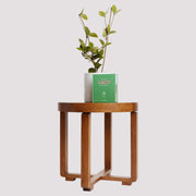 Little Book of Cacti on a timber table with a Hoya Plant