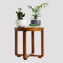 Jungle Warrior Indoor Plant in Pierre White Pot next to Bamboo Parlor Palm in Pierre Black Pot on Table The Good Plant Co
